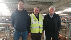 Offaly farmers rear and sell cattle for Hooves 4 Hospice fund-raiser