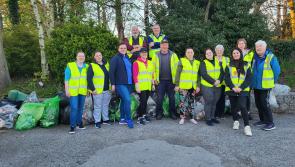 Over 60 Offaly groups took part in National Spring Clean 2023 campaign