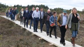 The best is yet to come from Ireland's EU membership believes Offaly TD