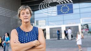 Beautiful bogs part of Ireland's offering to the EU says Offaly MEP