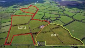 Two large lots of prime farm land in Offaly going up for auction in June