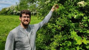 Midlands Science activities for Biodiversity Week in Offaly