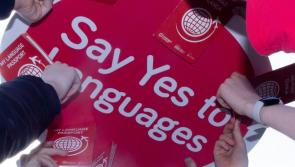 Offaly school takes part in Language Sampler Module