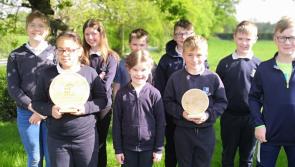 Top national award for Offaly school