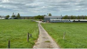 AUCTION: 122 acres of good quality arable land for public auction in Offaly