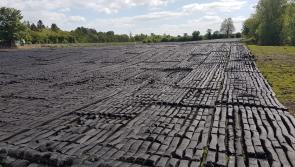Turf cutting on decommissioned bog  in the Midlands called 'environmental vandalism'