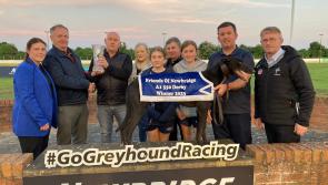 Gone to the dogs: Nine Offaly winners