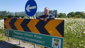 Protect and conserve nature urges Offaly Green party councillor