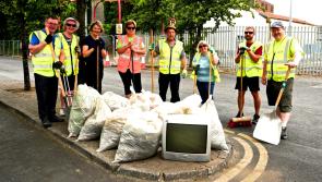 All hands on deck in Offaly as Tidy Towns judging commences