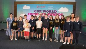 Prestigious 'Equality for All' award for Offaly school
