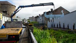 'Battle of Roscrea' art installation is stunning new feature in the Heritage Town 