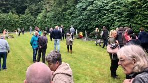 Anomalies detected underground in Roscrea's Angels Plot