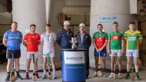 Clodiagh Gaels and Kilcormac-Killoughey front runners in Offaly Senior B Hurling Championship