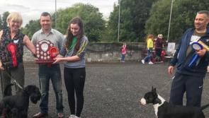 Successful Dog Show returns for a 24th year this month