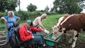 Large crowd attends Social Farming Open Day on Offaly farm