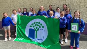 Offaly school holds flag raising ceremony for sixth Green Flag