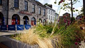 Tidy Towns enthusiast claims Offaly County Council 'likes dead weeds'
