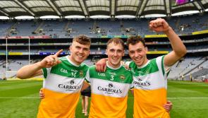 Ballinamere rally powerfully in second half for crucial win in Offaly Senior Hurling Championship