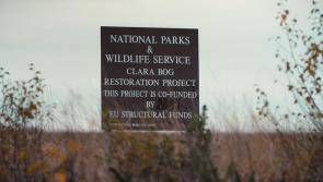 Offaly bog visitor centre to reopen in coming weeks