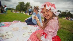 Big Beautiful Vintage Picnic returns to Birr Castle Demesne