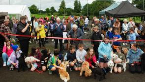 PICTURES: Dunkerrin Dog Show and Fete