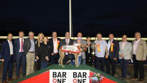 Gone to the dogs: Big win for Edenderry owned greyhound