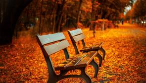 Finding a balance this September - Emma Coonan