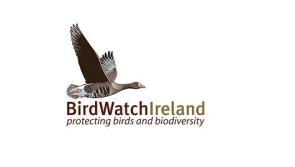 All eyes on the sky this winter as BirdWatch Ireland launches Irish Starling Murmuration Survey
