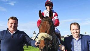 Tragic news for  Offaly owned  horse
