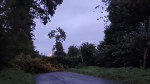 Tree down on Offaly road amid sting in tail of Storm Agnes