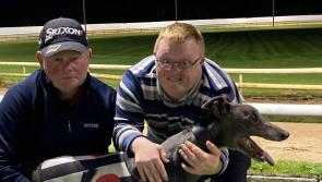 Gone to the dogs: Four Offaly winners