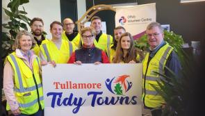 Local firm joins forces with Tidy Towns for clean-up on busy Tullamore by-pass
