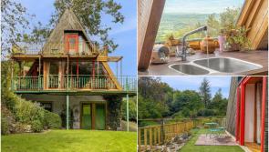 IN PICTURES: Unique 'treehouse' in the Midlands hits market for €435,000
