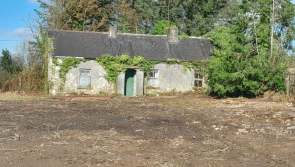 PICTURES: Is this the cheapest house in the Midlands? Cottage with big surprise for €45k