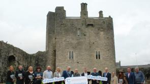 Roscrea first in Ireland to launch new Town Centre First plan