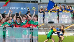 PICTURES: Huge gallery of pictures from the 2023 Offaly Cumann na mBunscol games