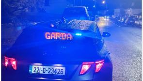 Gardaí seize car as unaccompanied learner neglects to use seat belt on rural road
