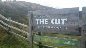 'Easy to miss' - Signpost in the Slieve Bloom that went viral has been replaced