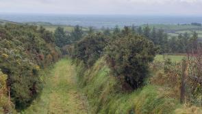 OPINION (AN COLÚN): In the footsteps of hedge school masters and a raparee