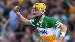Team announced as Offaly hurlers search for early season form in Walsh Cup