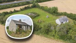 PROPERTY: Little cottage on large site in the Midlands with huge potential going for €135k