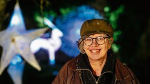 Offaly artist appointed as Artistic Director for major festival in the Midlands