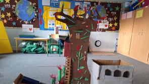 Offaly school declared winners in  "Found on the Ground" competition