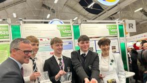 Local students enjoyed busy few days at the BT Young Scientist and Technology Exhibition