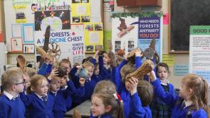 Just Forests launch schedule of Global Citizenship Education projects for 2024