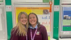 Offaly students won Best Display Award in BT Young Scientist competition