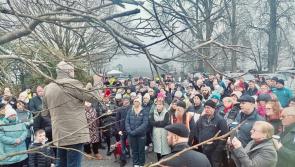 Roscrea protest shows 'government is on the run with immigration policy' - Lowry