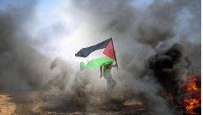 Major Offaly event this weekend to raise funds for medical aid for Gaza