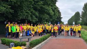 Offaly Canal Camino Way Charity Walk takes place this Sunday