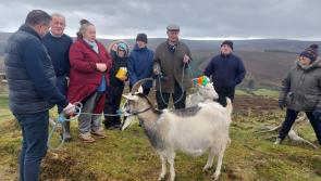 SBA re-enacts pagan festival on Slieve Bloom summit